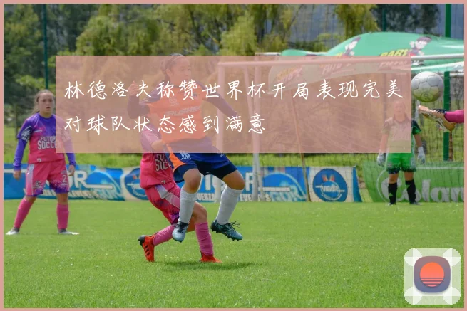 林德洛夫称赞世界杯开局表现完美对球队状态感到满意