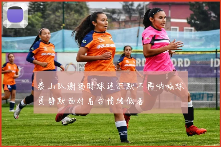 泰山队谢场时球迷沉默不再呐喊球员静默面对看台情绪低落