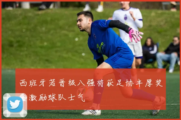 西班牙若晋级八强将获足协丰厚奖金激励球队士气